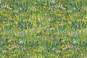 Ковролин Forbo Flotex Vision Pattern 941 (Van Gogh) Patch of Grass фото  | FLOORDEALER