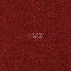 Ковровая плитка Modulyss Uni 382 фото 1 | FLOORDEALER