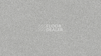 Линолеум Tarkett Craft Magnetic 2 фото 1 | FLOORDEALER