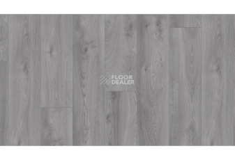 Kronotex Mammut d3670 Дуб Макро Светло-серый фото 2 | FLOORDEALER