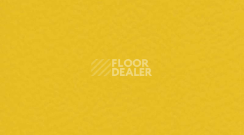 Линолеум Gerflor Taraflex evolution Uni 6211_Gold фото 1 | FLOORDEALER