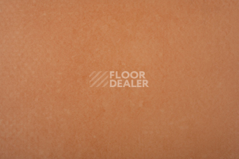 Forbo Emerald Standart 72404 фото 3 | FLOORDEALER