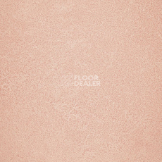 Линолеум Novoflor Extra Sparkle 2440-4 фото 1 | FLOORDEALER