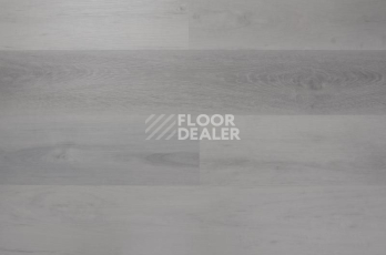 Кварцвиниловые полы Evofloor Optima Click 4.2мм Дуб Снежный фото 1 | FLOORDEALER