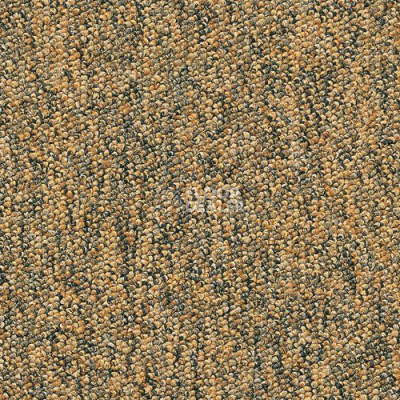 Ковролин Desso Tempra-Brlm 2035 фото 1 | FLOORDEALER