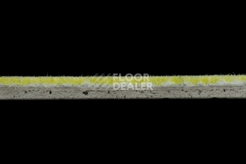 Forbo Flotex Colour s 290014 Calgary Lime фото 3 | FLOORDEALER