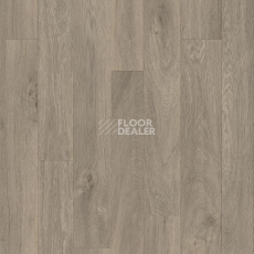 Линолеум Tarkett Titan CHESTER_2 фото 1 | FLOORDEALER