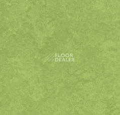 Линолеум Forbo Marmoleum Sport 83285 green фото 1 | FLOORDEALER