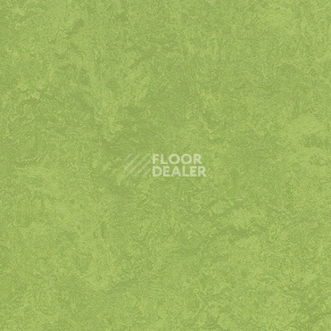 Линолеум Forbo Marmoleum Sport 83285 green фото 1 | FLOORDEALER
