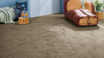 Vorwerk Essential 1076 Vorwerk 7g79 фото 2 | FLOORDEALER