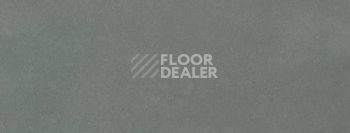 Плинтус Dollken EP 60/13 3059 фото 2 | FLOORDEALER
