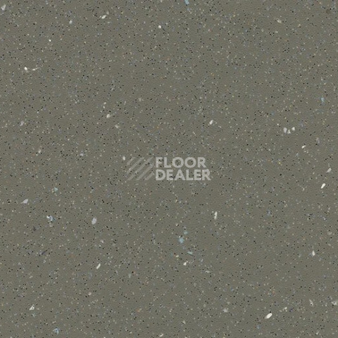 Линолеум Forbo SafeStep R11 174872 earth фото 1 | FLOORDEALER