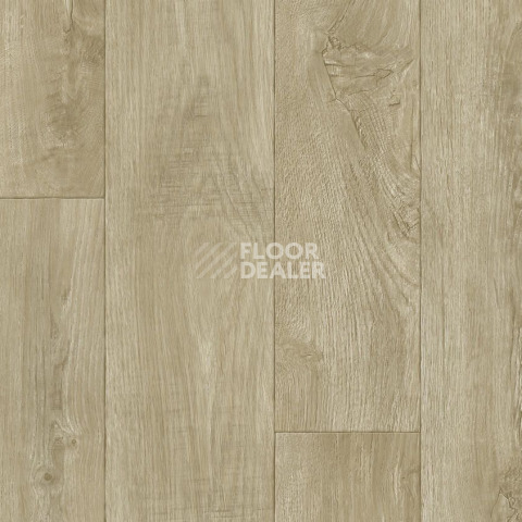 Линолеум Tarkett Philosophy DIAKIRI 5 фото 1 | FLOORDEALER