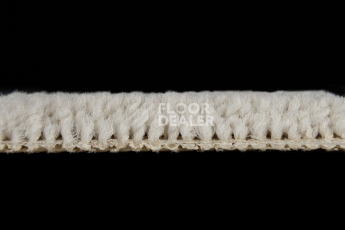 Balsan Les Best 910 фото 3 | FLOORDEALER