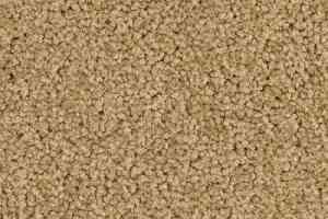 Ковролин Balsan Serenite 640 фото  | FLOORDEALER