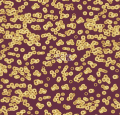 Ковролин Forbo Flotex Sottsass Bacteria 990501 фото 1 | FLOORDEALER