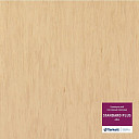 Линолеум Tarkett Standart Plus 484  | FLOORDEALER