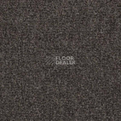 Ковролин Balsan Majestic 788 фото 1 | FLOORDEALER