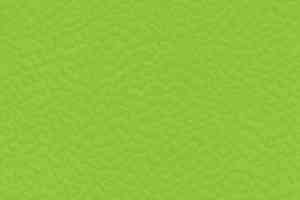 Линолеум Gerflor Taraflex evolution Uni 6559_Spring фото  | FLOORDEALER