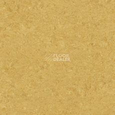 Линолеум Gerflor Marmorette DLW 2.5mm 0072 Golden Yellow фото 1 | FLOORDEALER