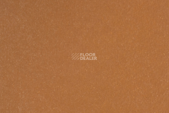 Линолеум Forbo Marmoleum Solid Walton 3370-337035 terracotta фото 1 | FLOORDEALER