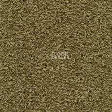 Ковролин Desso Marathon 6421 фото 1 | FLOORDEALER