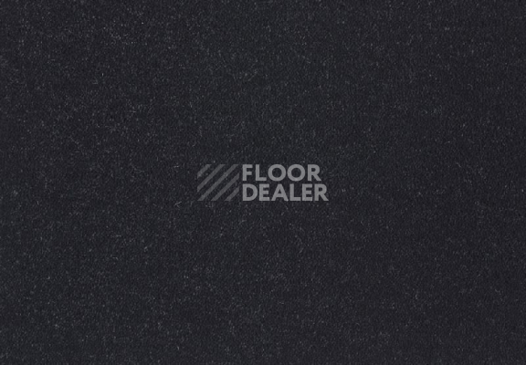 Ковролин Lano Dream 800 Black фото 1 | FLOORDEALER