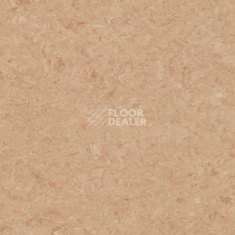 Линолеум Gerflor Marmorette DLW  2mm 0075 Light Aurora фото 1 | FLOORDEALER
