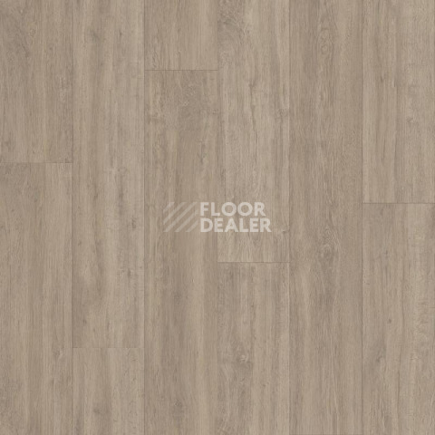 Линолеум Polystyl Polaris FALCON_1 фото 1 | FLOORDEALER