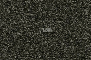 Ковролин Vorwerk Amiru 4e49 фото 1 | FLOORDEALER