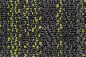 Neuflor City 2009-13 + New Leaf фото 2 | FLOORDEALER