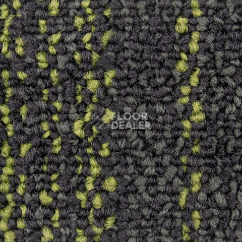 Neuflor City 2009-13 + New Leaf фото 2 | FLOORDEALER