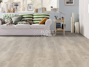 Haro Tritty 200 Aqua Gran Via 4V ДУБ БЕРГАМО СЕРЕБРЯНО-СЕРЫЙ 541578 фото 3 | FLOORDEALER