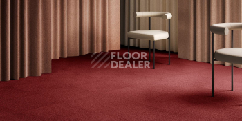 AW Maxima 12 фото 2 | FLOORDEALER