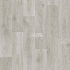 Линолеум Tarkett Absolut HELFORD 1 фото 1 | FLOORDEALER