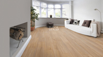 Kronotex Robusto 12мм d4954 Дуб Премиум фото 9 | FLOORDEALER