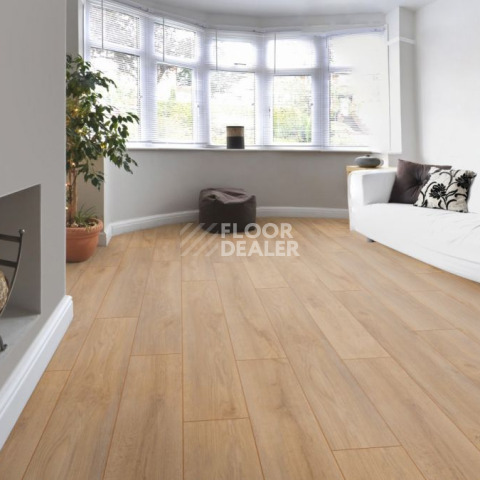Kronotex Robusto 12мм d4954 Дуб Премиум фото 9 | FLOORDEALER