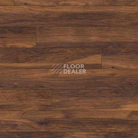 Terhurne Grand Line 1869  Каштан Бархатно - Коричневый  1101020839 фото 3 | FLOORDEALER