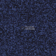 Ковролин Balsan Ultrasoft 180 фото 1 | FLOORDEALER