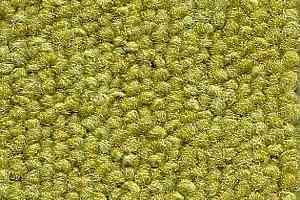Ковровая плитка Balsan Season - Summer / Winter 220 фото  | FLOORDEALER