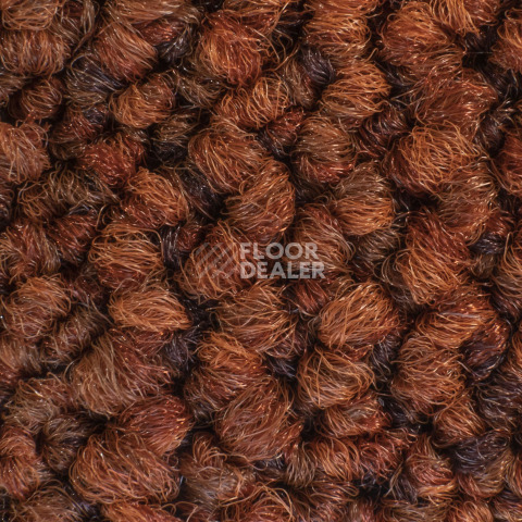 Desso Desert 5011 фото 3 | FLOORDEALER