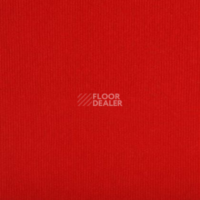 Ковролин Tapibel Secura 4855 фото 1 | FLOORDEALER