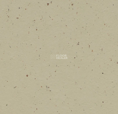Forbo Marmoleum Decibel on Order 359535 pannacotta фото 1 | FLOORDEALER