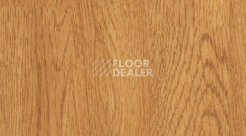 Линолеум Gerflor Taraflex evolution Wood 6375_Oak_design фото 1 | FLOORDEALER