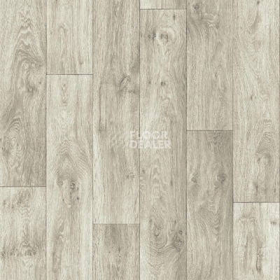Линолеум Tarkett Premium Akron_10 фото 1 | FLOORDEALER