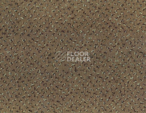 Ковролин Betap Pluto 193 фото 1 | FLOORDEALER