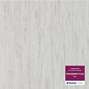 Линолеум Tarkett Standart Plus 924  | FLOORDEALER