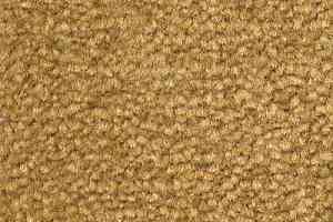 Ковролин Emphatic Beaulieu of America 56250 фото  | FLOORDEALER