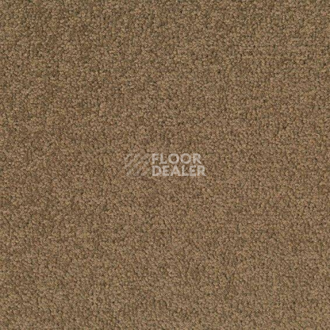 Ковровая плитка Desso Palatino 2929 фото 1 | FLOORDEALER