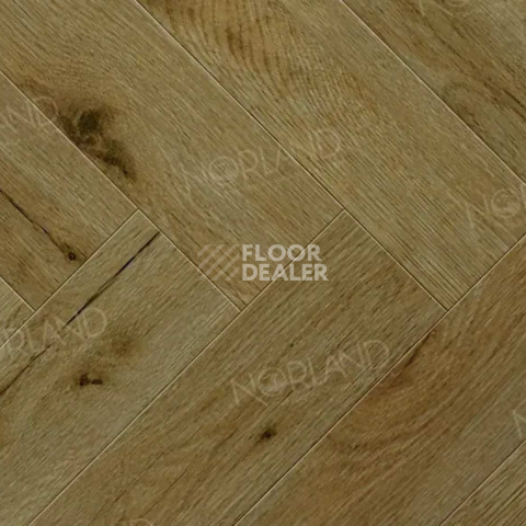 Ламинат Norland Herringbone Elegant Strong 12мм LF304-14 Дуб Скай фото 1 | FLOORDEALER